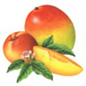 Meet your Posher, Lucy